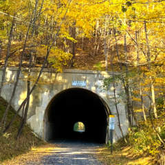 Borden Tunnel