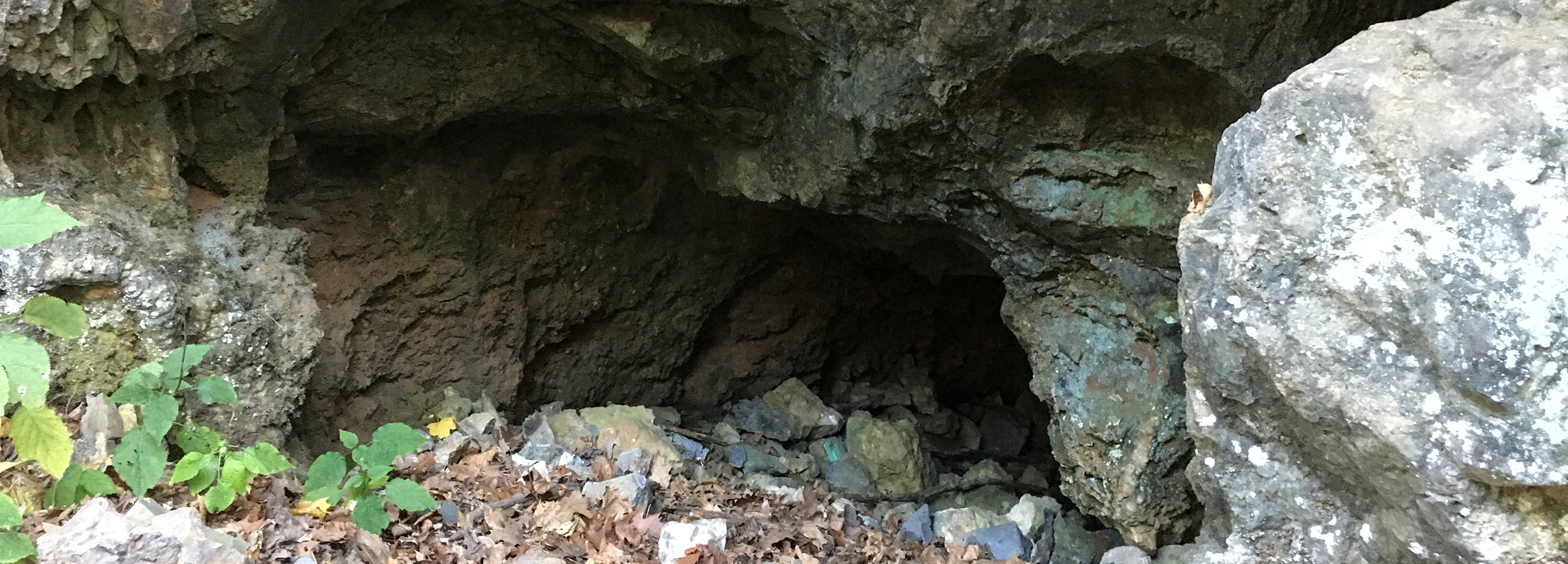 Cumberland Bone Cave - Great Allegheny Passage