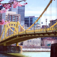 Pittsburgh North Shore bridge