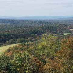 Green Ridge State Forest Overlook