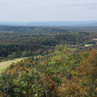 Green Ridge State Forest Overlook