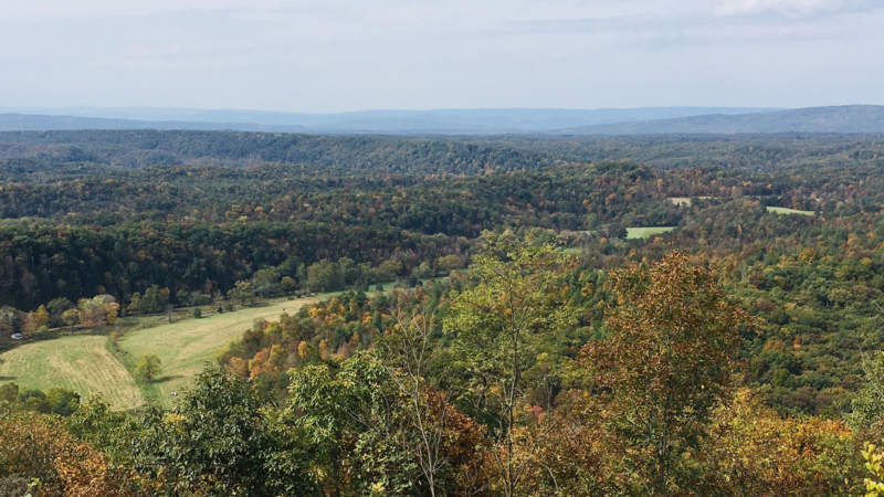 Green Ridge State Forest Overlook