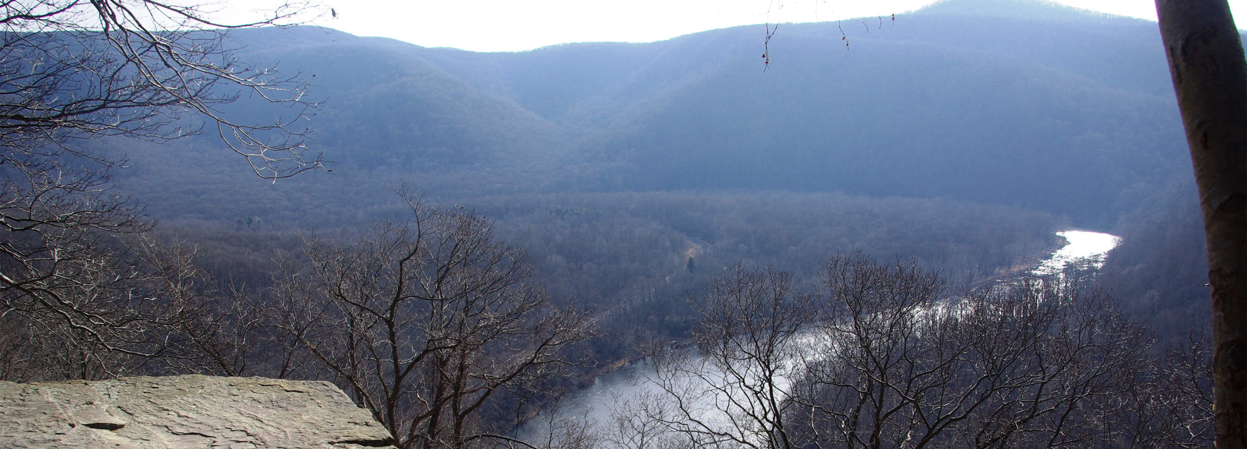 laurel hill mountain bike trails