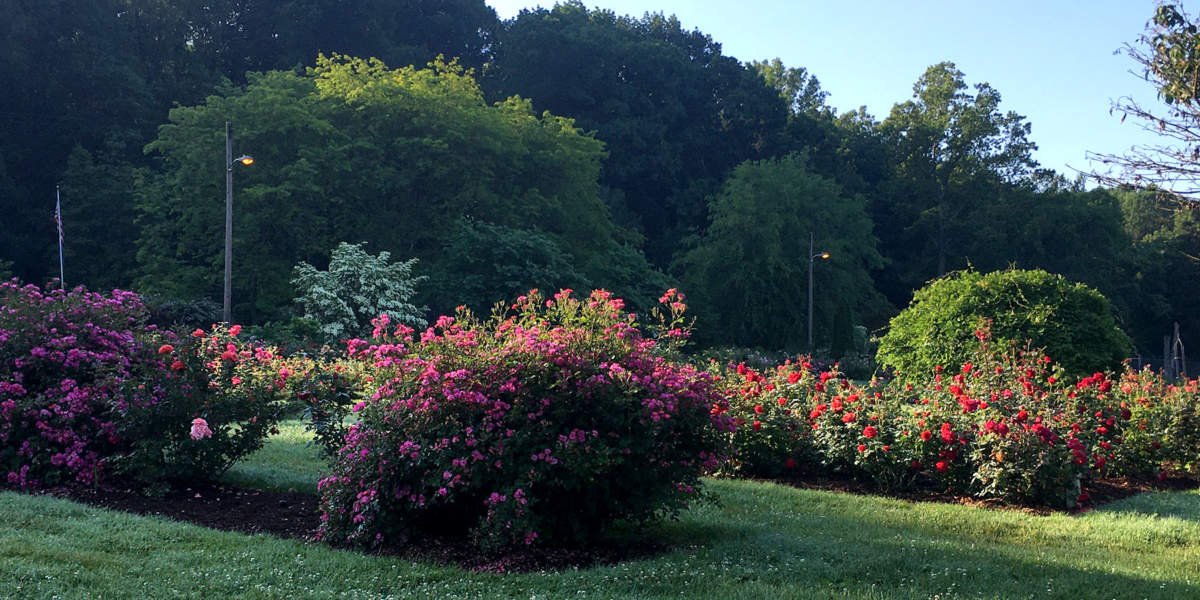 McKeesport Great Allegheny Passage