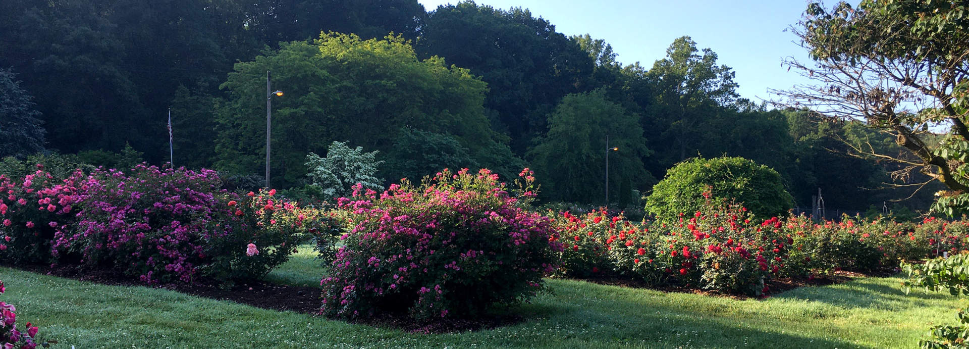 McKeesport Great Allegheny Passage