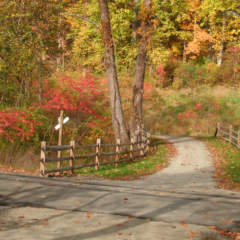 Sheepskin Trail in autumn