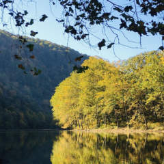 Youghiogheny River in autumn
