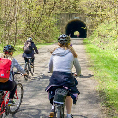 Cyclists entering Borden Tunnel