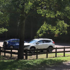 Parking lot with cars in Markelton