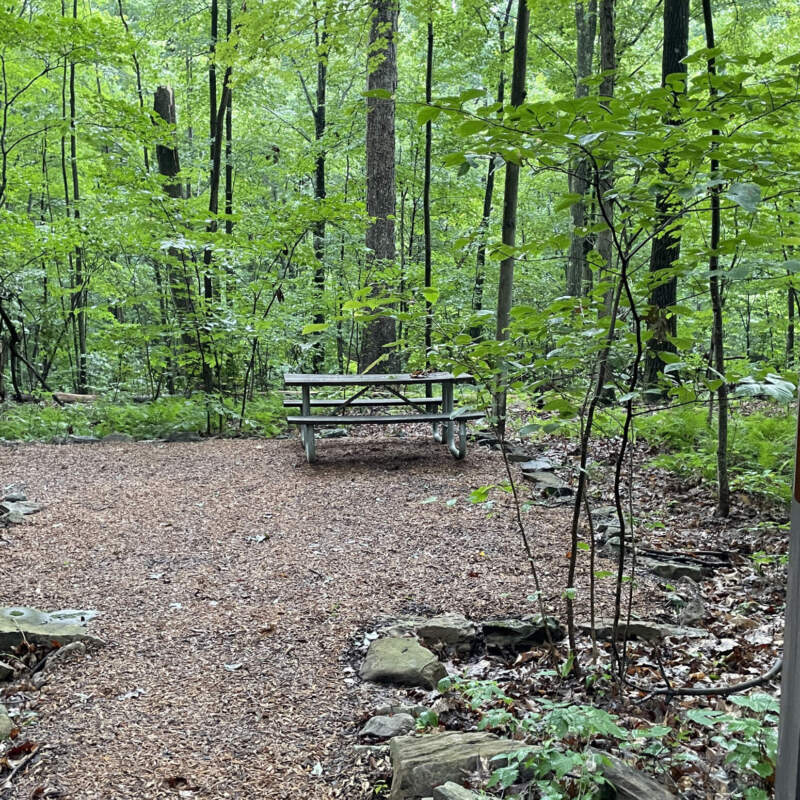 Great Allegheny Passage