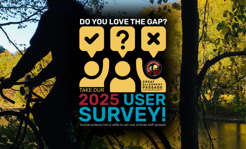 2025 User Survey