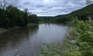 Casselman River