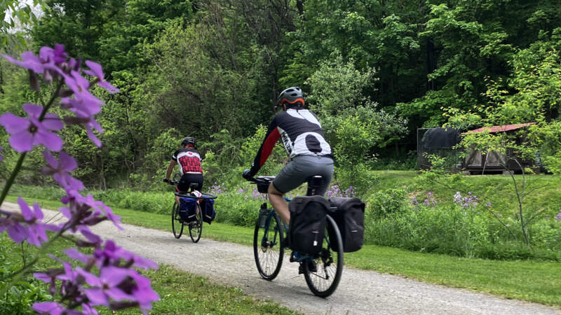 Bicyclists Phlox Whitsett